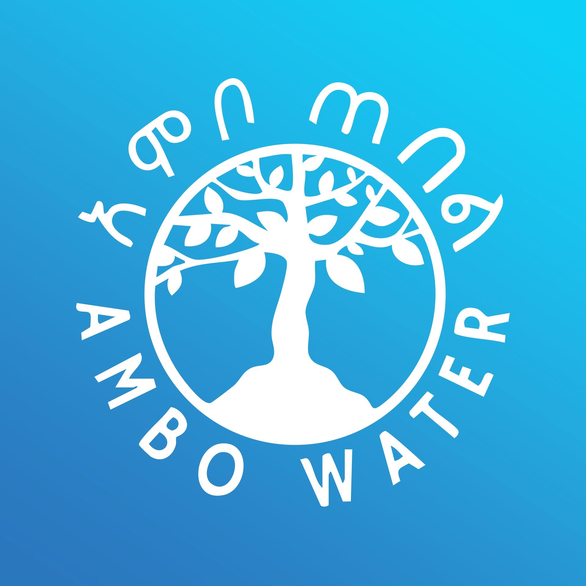 Ambo