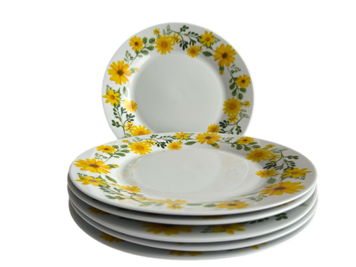 [2140] 6 PCS Ceramic Dinner Plate (Adey Abeba)