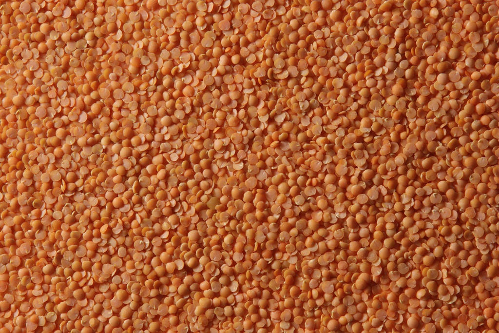 Red Split Lentils 50 lb
