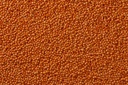 Red Football Lentils 50 lb