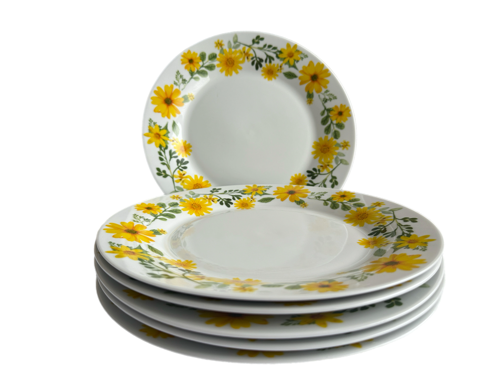 6 PCS Ceramic Dinner Plate (Adey Abeba)
