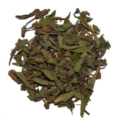 [175] Koseret 1 KG