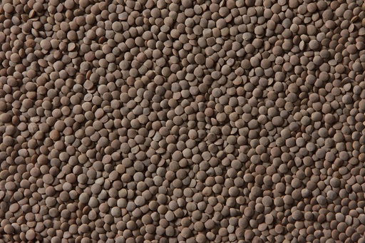 [41333] Whole Brwon Lentil 50 lb