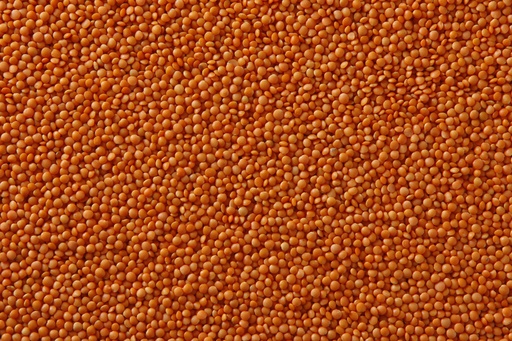 [34062] Red Football Lentils 50 lb